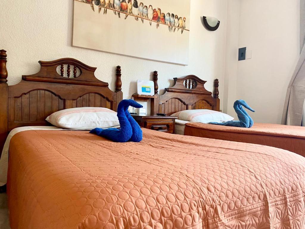 Suites Ximajo Brisas de Zicatela エクステリア 写真